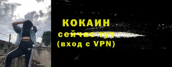 тгк Алексин